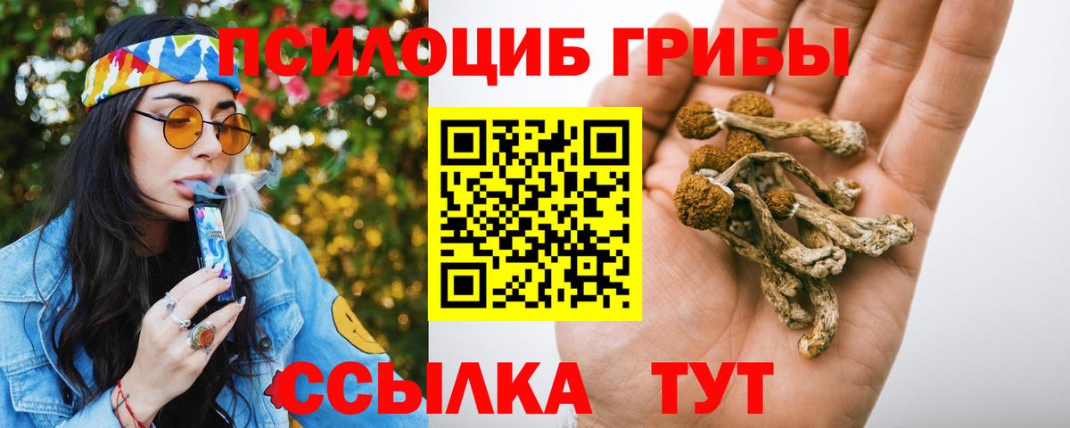 Советская Гавань  Галлюциногенные грибы ЛСД  Вход с VPN 